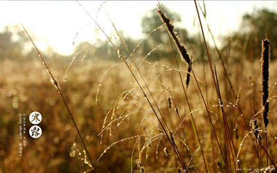 經顱多普勒廠家